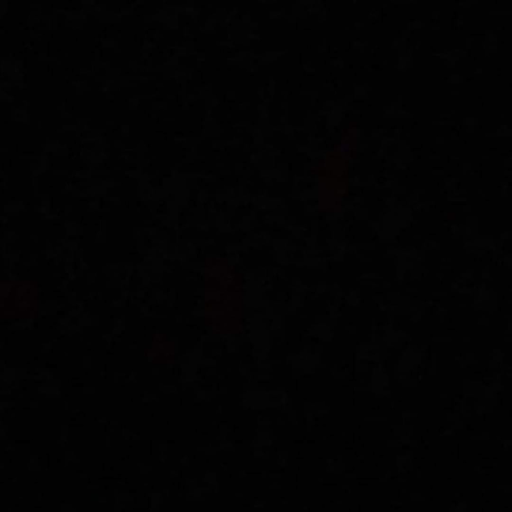 Meet your Posher, Blake